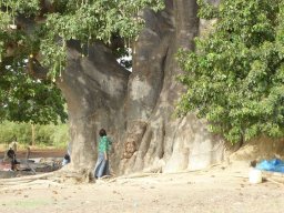 269407_10150260441269901_5504362_n